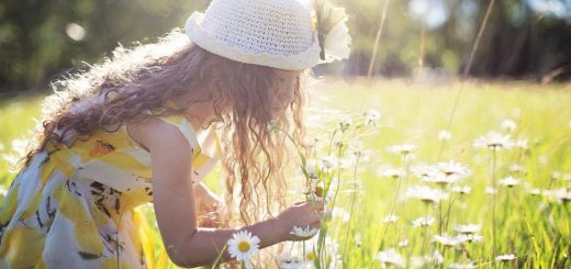 10 Things to get Kids Spending Time in the Garden this Spring