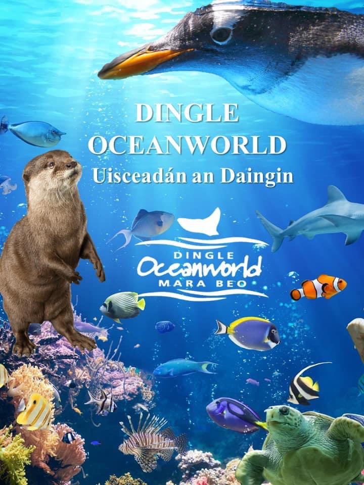 Dingle Oceanworld Aquarium - No.3 Attraction in Dingle on TripAdvisor